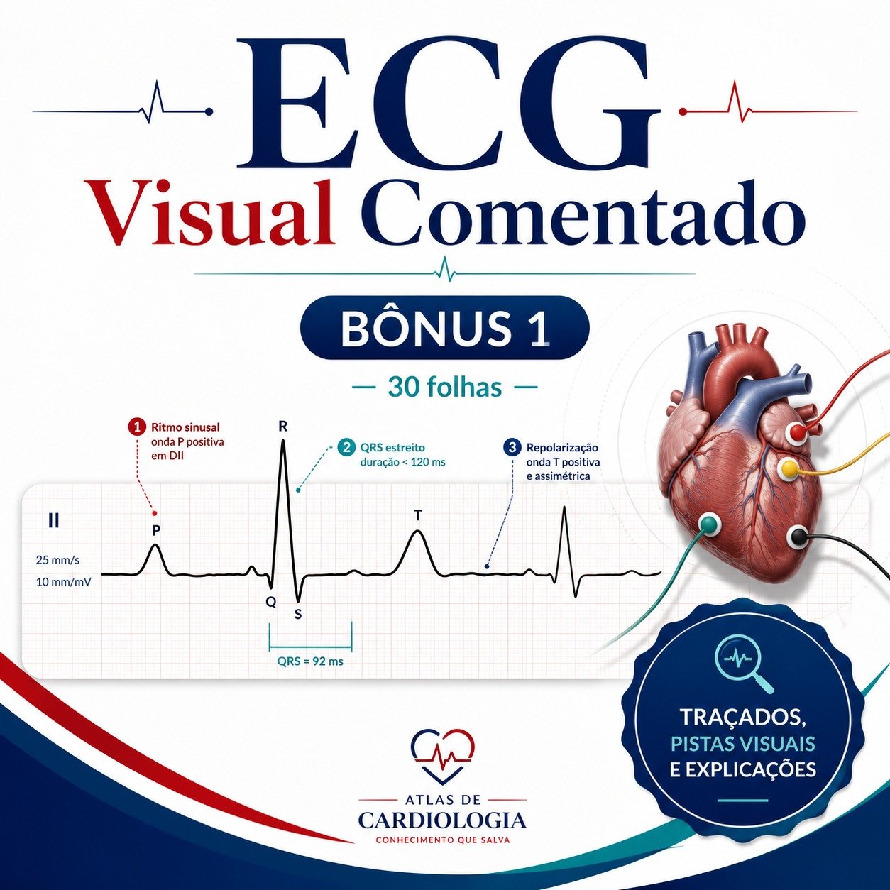 ECG Visual Comentado