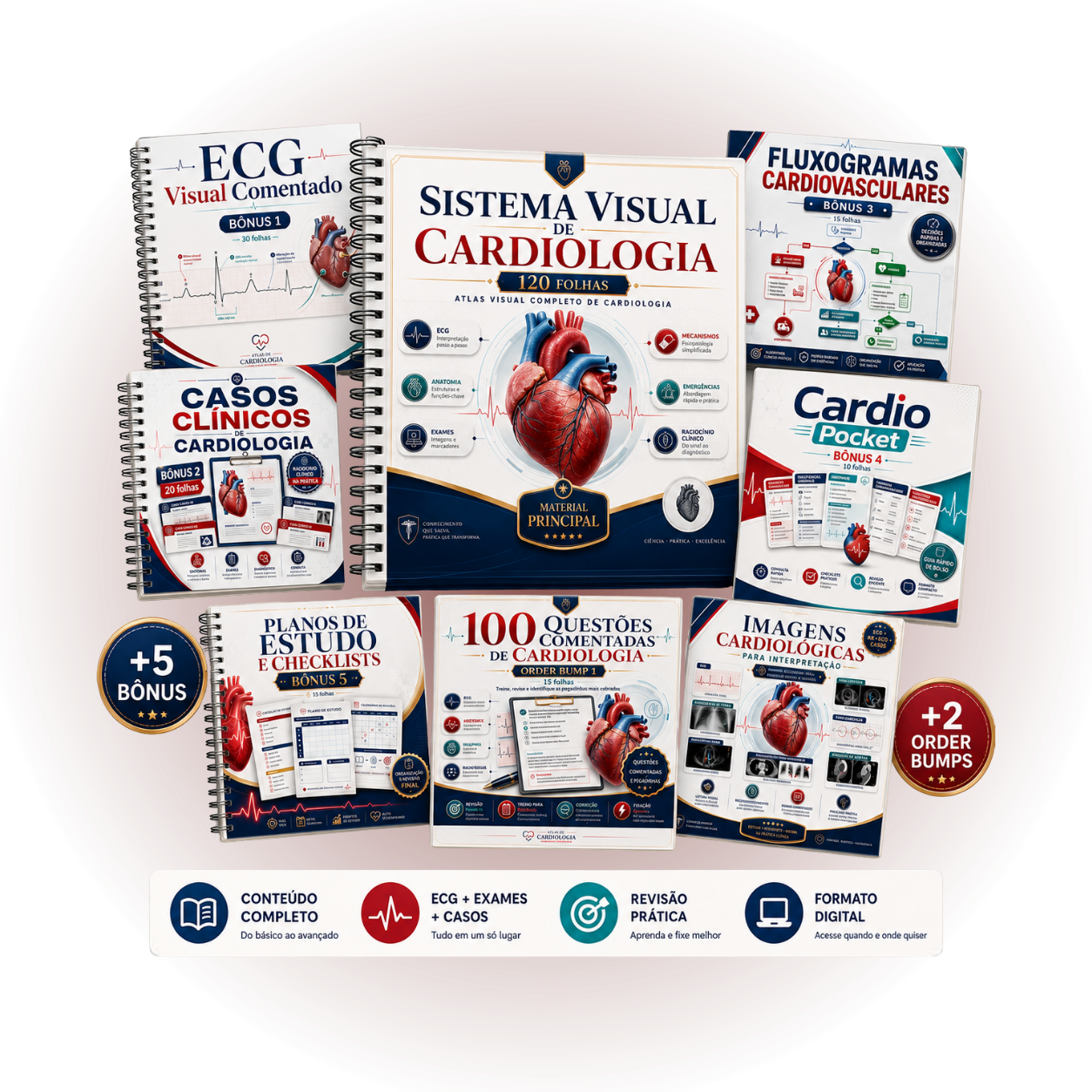 Sistema Visual de Cardiologia — bundle completo
